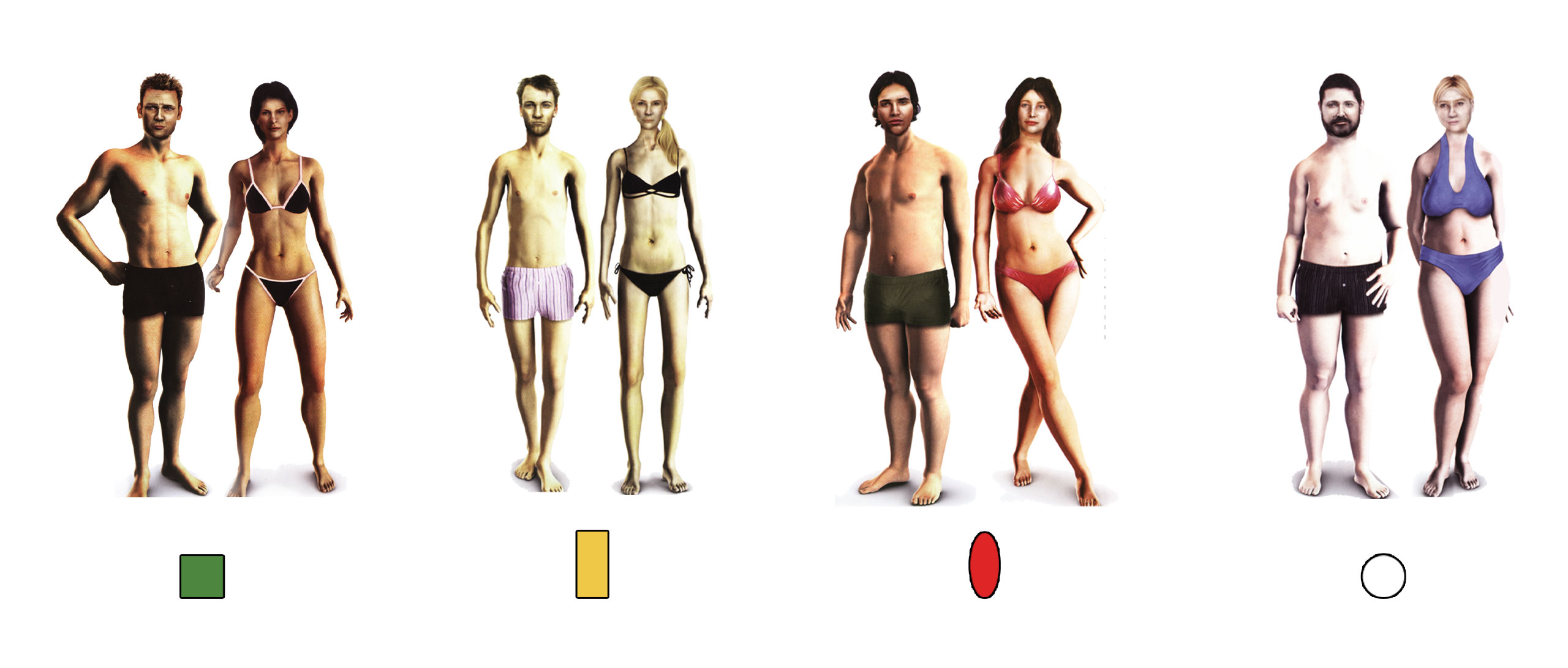 Body Type Quiz Male: What Is Your Body Type? - ProProfs Quiz