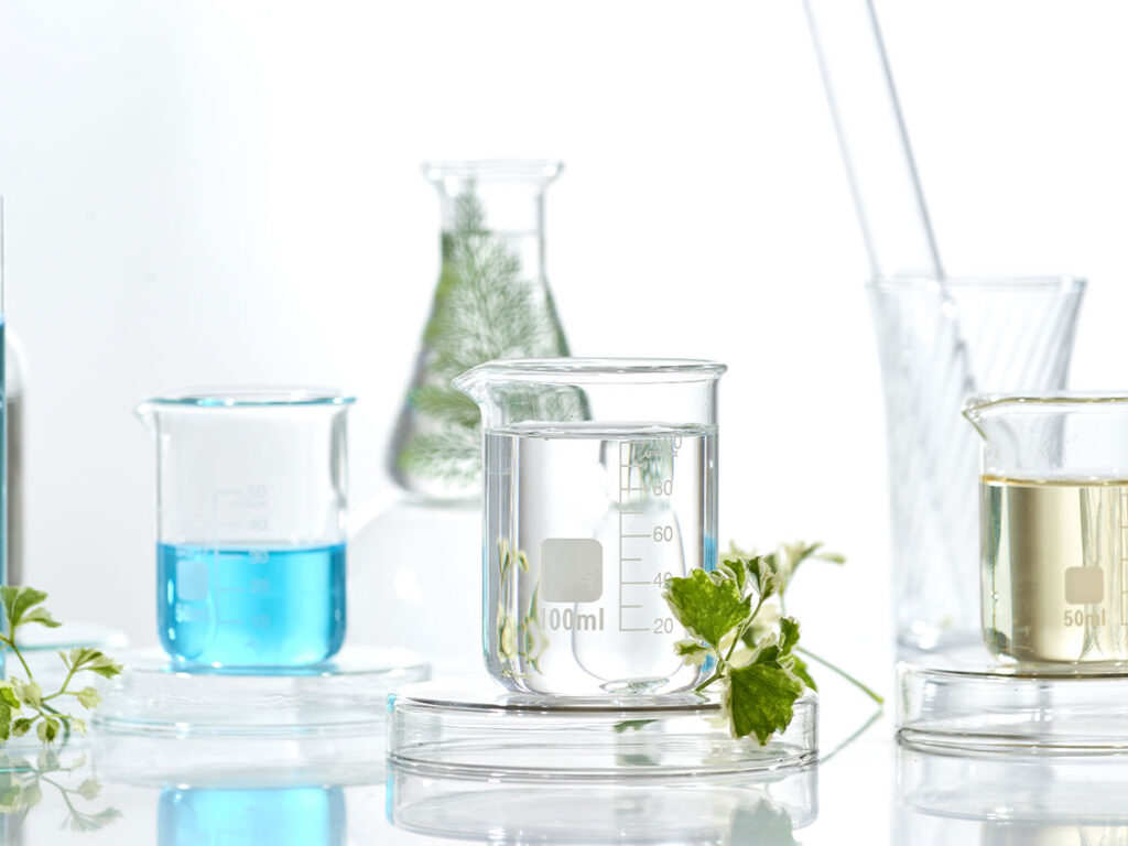 Discover Our Products